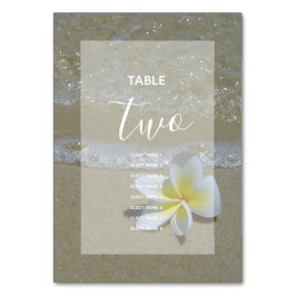 Plumeria Frangipani on Sand Wedding Guest Names Tischnummer