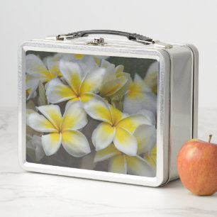 Plumeria, gelbe Blumenfotografie Metall Brotdose