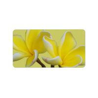 Plumeria-Geschäftsadresse/Versandkennzeichen