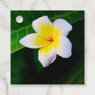 Plumeria Geschenkanhänger