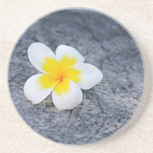 Plumeria Getränkeuntersetzer