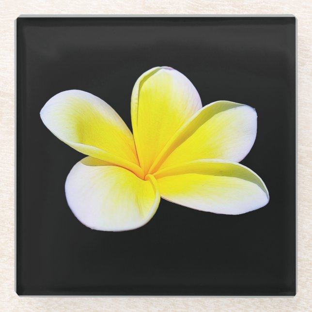 Plumeria Glass Untersetzer (Vorderseite)