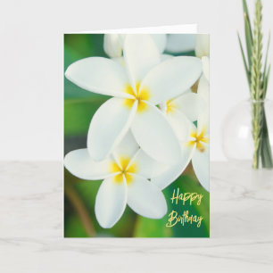 Plumeria Happy Birthday Card Dankeskarte