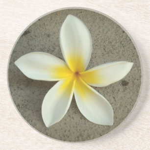 Plumeria hawaii Blume Untersetzer