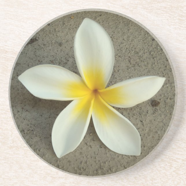 Plumeria hawaii Blume Untersetzer (Vorne)