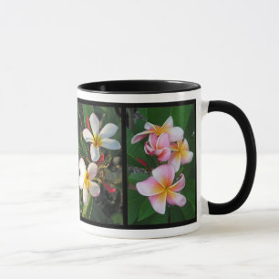 Plumeria-hawaiische tropische Blumen auf Tasse