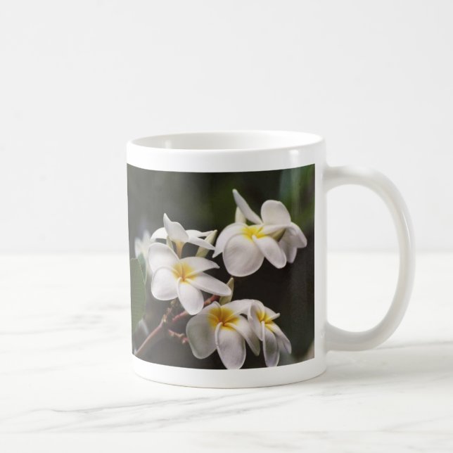 Plumeria Kaffeetasse (Rechts)