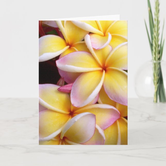 Plumeria Karte (Vorderseite)