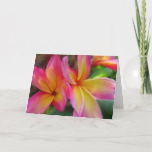 Plumeria-Karte Karte