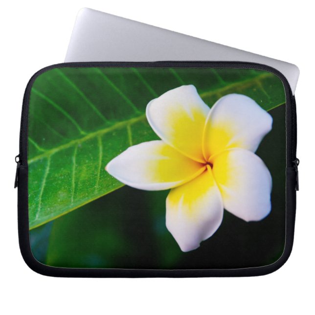 Plumeria Laptopschutzhülle (Vorderseite)