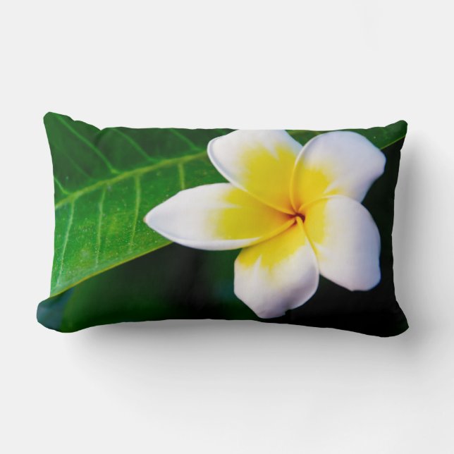 Plumeria Lendenkissen (Vorderseite)