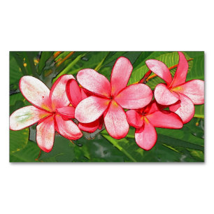 Plumeria Magnetische Visitenkarte