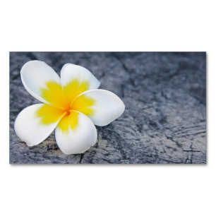 Plumeria Magnetische Visitenkarte
