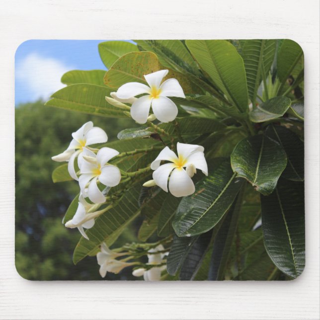 Plumeria Mousepad (Vorne)