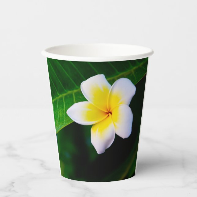 Plumeria Pappbecher (Vorderseite)