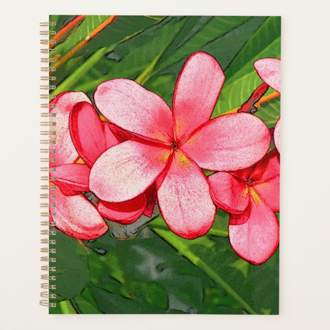 Plumeria Planer (Vorderseite)