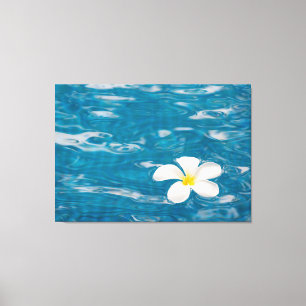 Plumeria Pool WrackCanvas Art Leinwanddruck