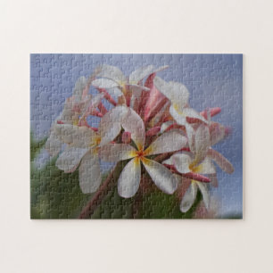 Plumeria Puzzle