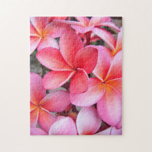 *Plumeria* Puzzle