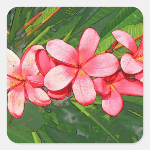 Plumeria Quadratischer Aufkleber