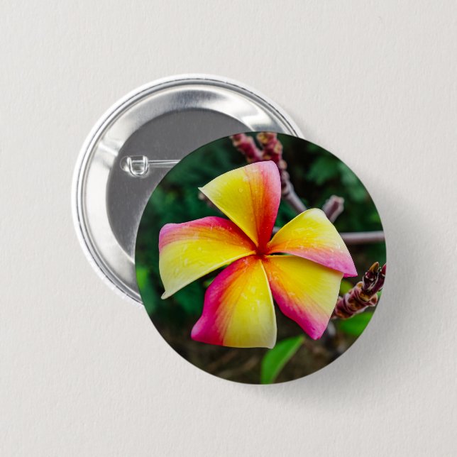 Plumeria rubra button (Vorne & Hinten)