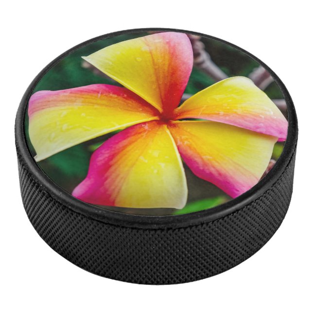 Plumeria rubra eishockey puck (3/4)