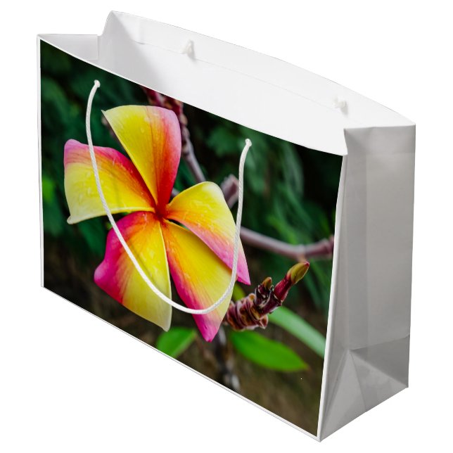 Plumeria rubra große geschenktüte (Rückseite Schrägansicht)