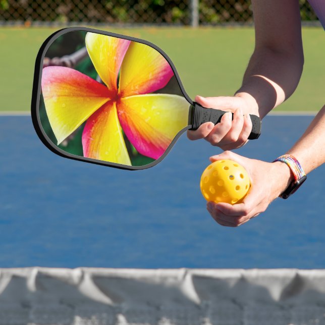 Plumeria rubra pickleball schläger (InSitu)