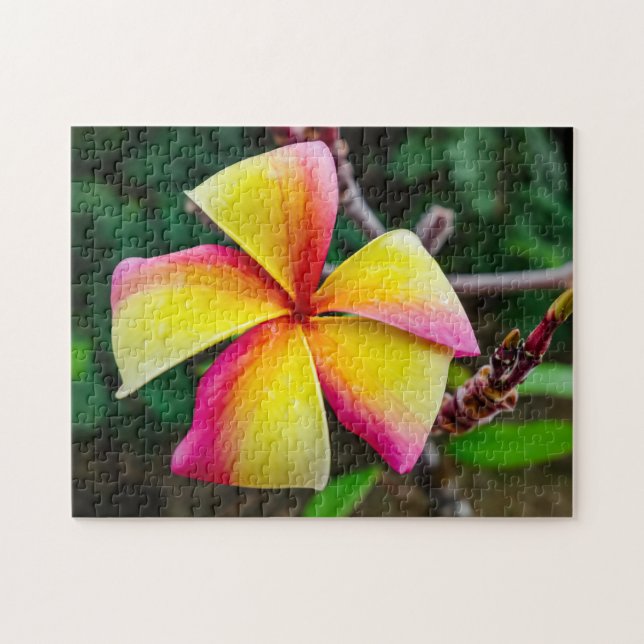 Plumeria rubra puzzle (Horizontal)