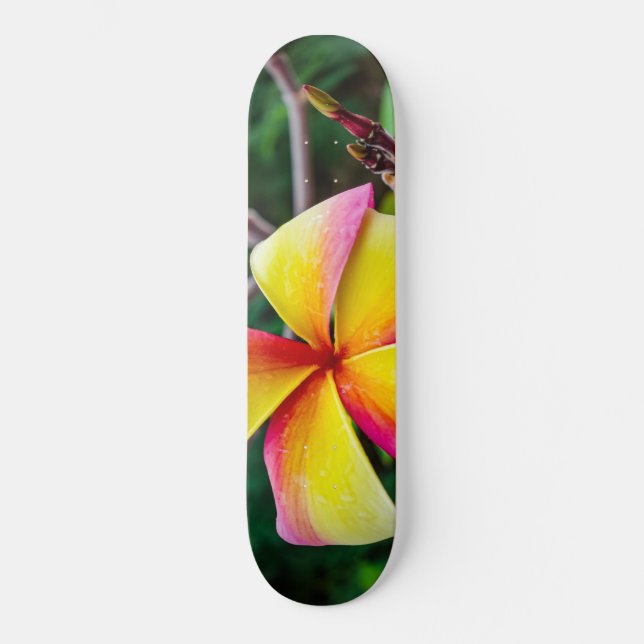 Plumeria rubra skateboard (Vorderseite)