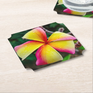 Plumeria rubra untersetzer