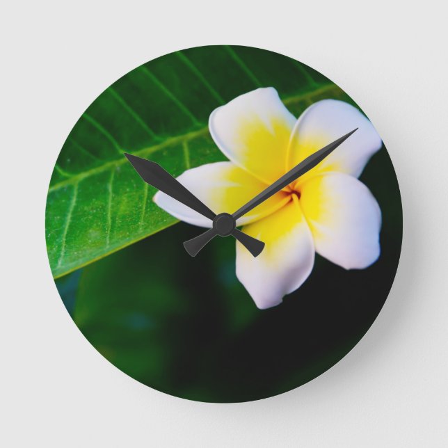 Plumeria Runde Wanduhr (Vorderseite)