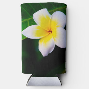 Plumeria Selters Dosenkühler