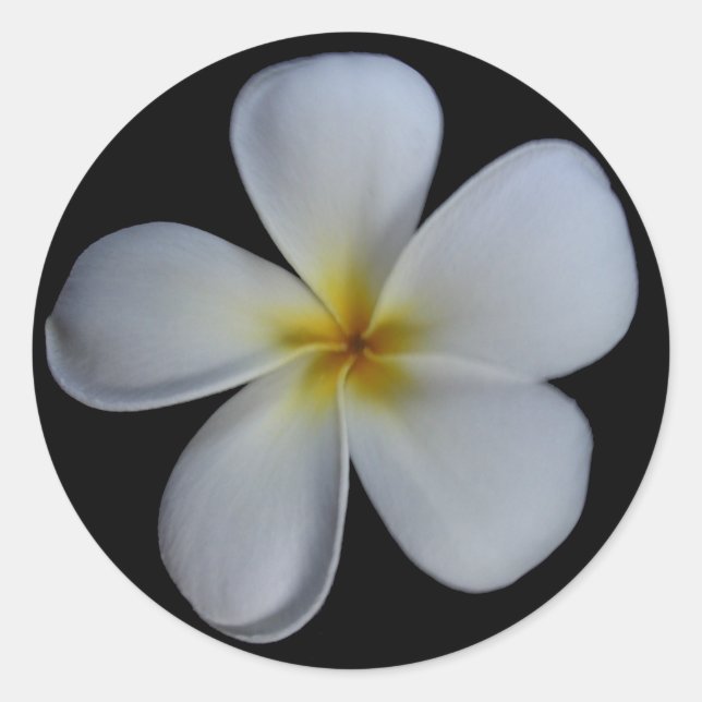 Plumeria Stickers (Vorderseite)