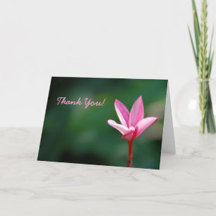 Plumeria Thank You Card Dankeskarte