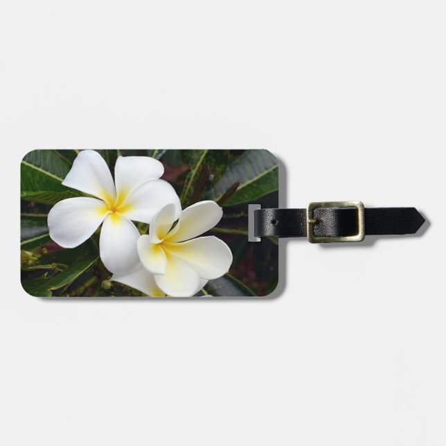 Plumeria Tropische Blume Gepäckanhänger (Vorderseite horizontal)