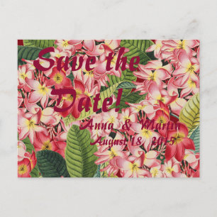 Plumeria Tropische Blumen Save-the-Date-Postkarten Ankündigungspostkarte
