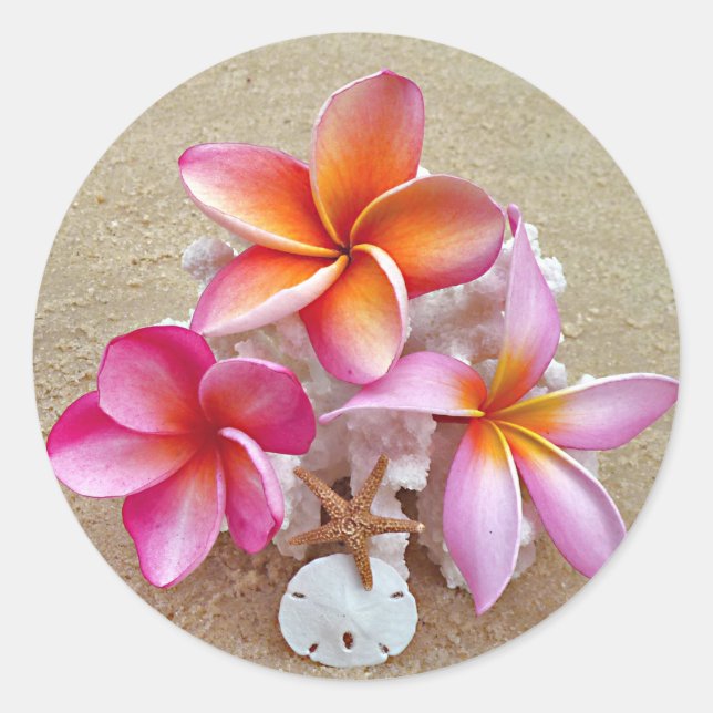 Plumeria und Muscheln auf Sandy Beach Sticker (Vorderseite)