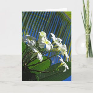 Plumeria und Palm Karte