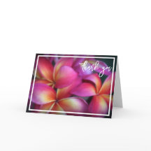 Plumeria Vielen Dank