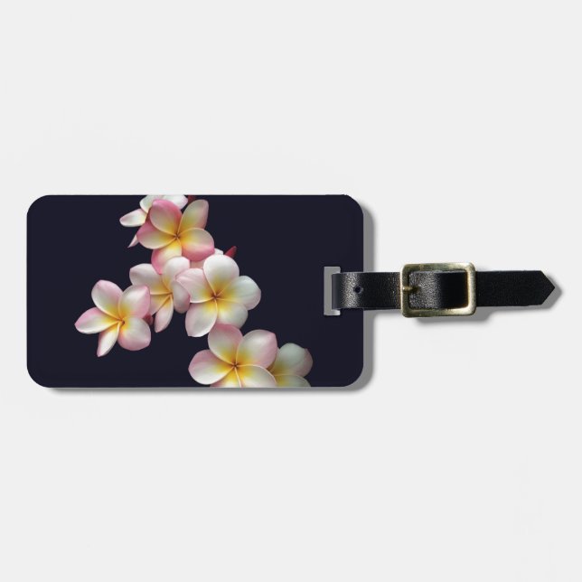 Plumeriablüten auf dunkelblauem gepäckanhänger (Vorderseite horizontal)