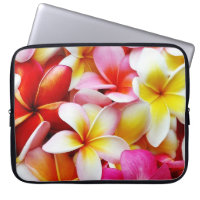Plumeriafrangipani-Hawaii-Blume besonders