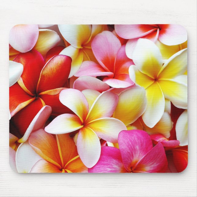 Plumeriafrangipani-Hawaii-Blume besonders Mousepad (Vorne)