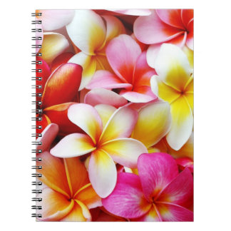 Plumeriafrangipani-Hawaii-Blume besonders Notizblock