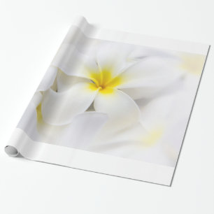 Plumeriafrangipani-Hawaii-Blumen-Blumen-Schablone Geschenkpapier