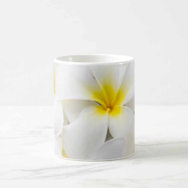 Plumeriafrangipani-Hawaii-Blumen-Blumen-Schablone Tasse (Mittel)
