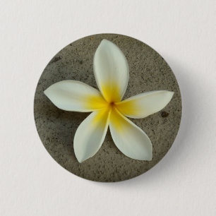 Plumeriahawaii-Blumenknopf Button