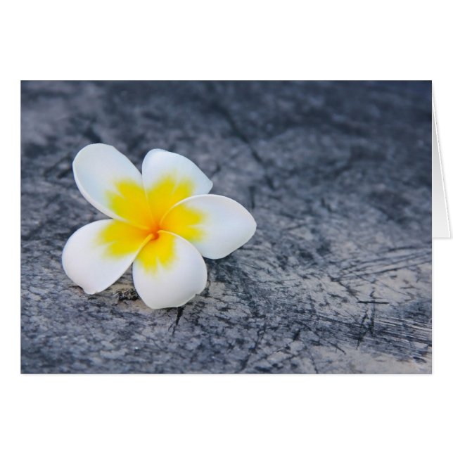 Plumerias (Vorderseite (Horizontal))