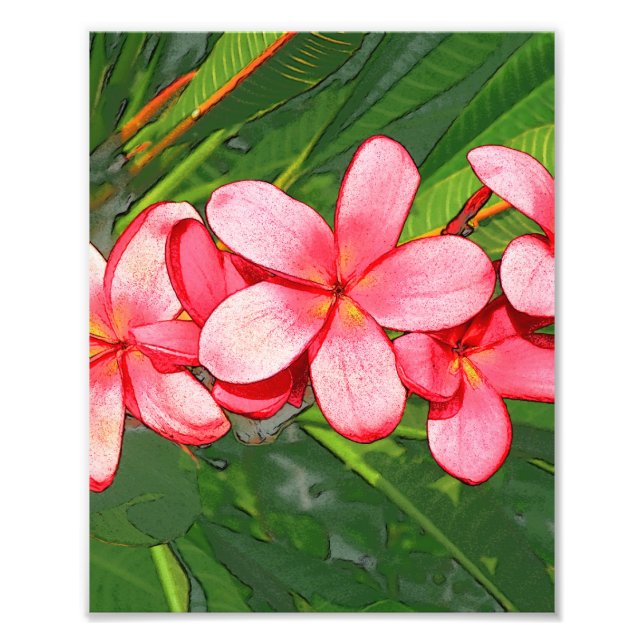 Plumerias Fotodruck (Vorne)
