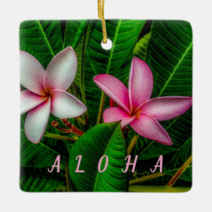 Plumerias in Weiß und Rosa Keramikornament